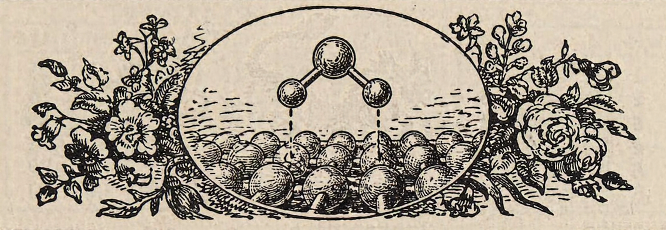 Adsorbate on surface, set among flowers